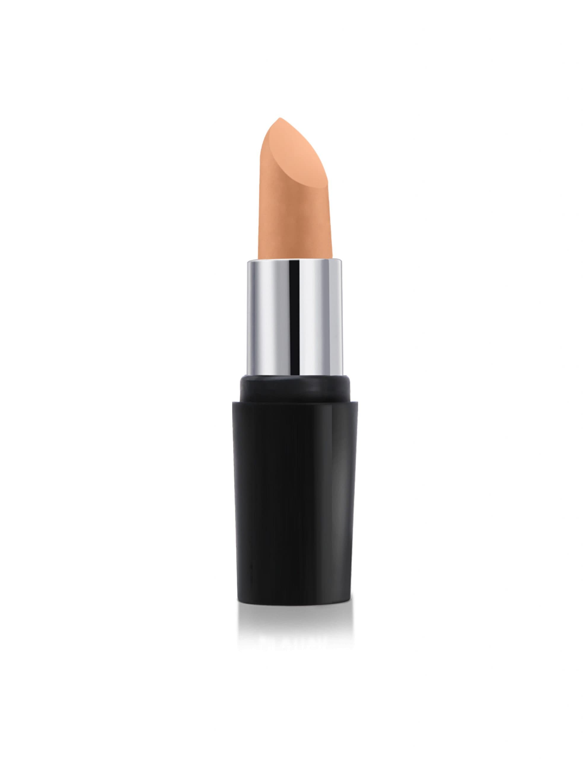 STICK CONCEALER NATURAL IVORY 462